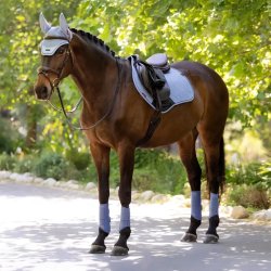 LeMieux SS26 Essence Underlag Powder Blue