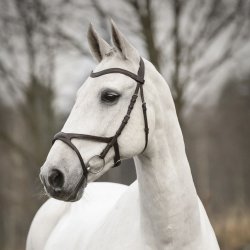 Kllquist Knights Arthur Trense Sort