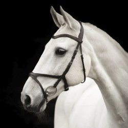 Kllquist Knights Arthur Trense Sort