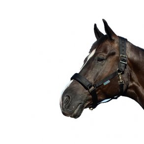 Bucas Comfort Grime Sort