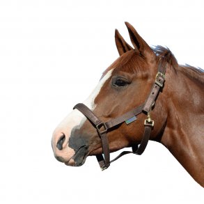 Bucas Dublin Grime Brun