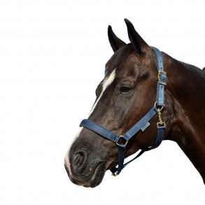 Bucas Dublin Grime Navy