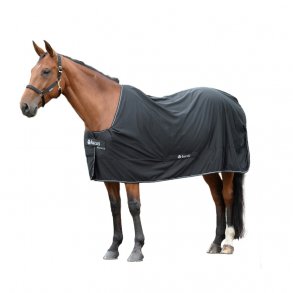 Bucas Shamrock Power Sort