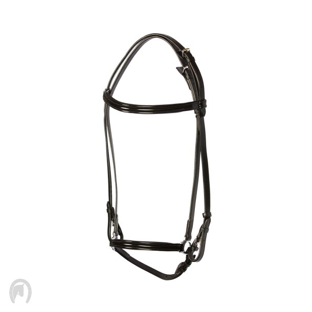 Eques Elegant Islndertrense Shiny Lak