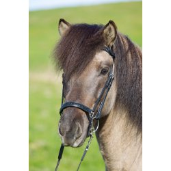 Eques Hannoveransk Nsebnd Moon rock Sort