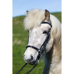 Eques Hannoveransk Nsebnd Sort