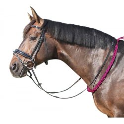 Equest Balance tjle Sort/gr/hvid