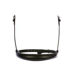 Eques Engelsk Anatomisk Nsebnd