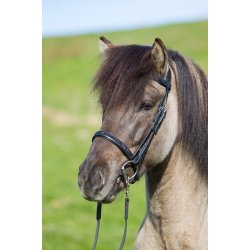 Eques Engelsk Nsebnd (Moon Rock)