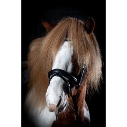 Eques Kombineret Anatomisk N�seb�nd