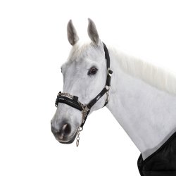 Eskadron Grime m/kde Navy