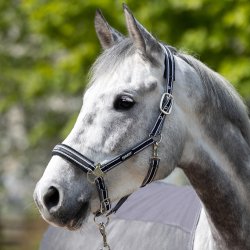 Eskadron Pin Buckle Grime Anthrazite/White/Black