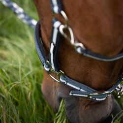 Eskadron Pin Buckle Grime Navy/White/Ashblue