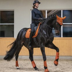 Eskadron Platinum 26 Sparkle Jewel Underlag Amber