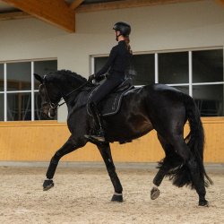 Eskadron Platinum 26 Pro Soft Glitter Underlag Sort