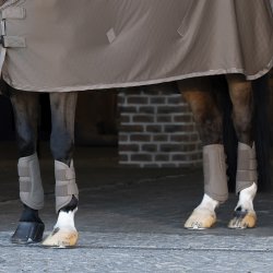 Eskadron Platinum 25 Faux Lder Gamacher Smoky Taupe