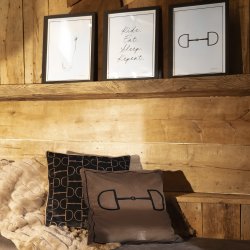 Eskadron Platinum 25 Wall Art / Billeder 3 stk.