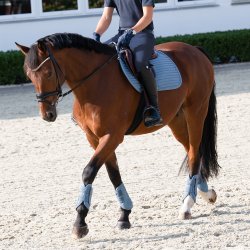 Eskadron Classic Sport 25 Pro Soft Underlag Steel Blue