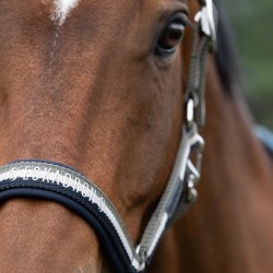 Eskadron Classic Sport 25 Double Pin Grime Olive, Navy og Beige