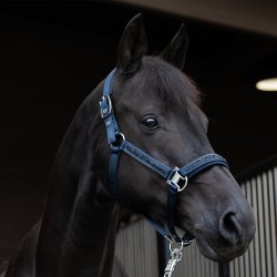 Eskadron Classic Sport 25 Grime Mattgloss Jewel Steel Blue