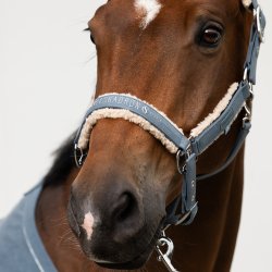 Eskadron Classic Sport 25 Grime Denim TeddyFleece Steel Blue