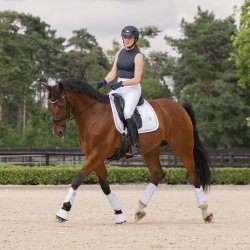 Eskadron Classic Sport 26 Softshell Jewel Gamacher Hvid