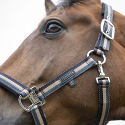 Eskadron Classic Sport 26 Double Pin Grime Ocean/Sierra/Navy