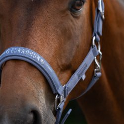 Eskadron Classic Sport 26 Sparkle Double Pin Grime Orchid