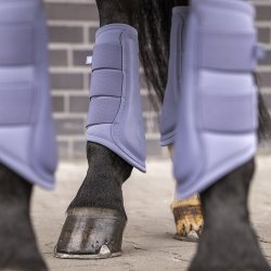 Eskadron Classic Sport 26 Mesh Gamacher Orchid