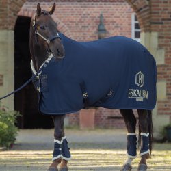 Eskadron Heritage 25/26 Aerial Jersey Black Truffle