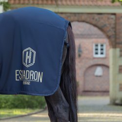 Eskadron Heritage 25/26 Aerial Jersey Black Truffle