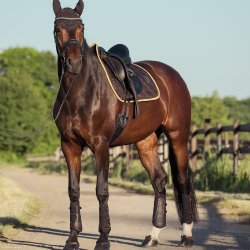 Eskadron Heritage 25/26 Mesh gamasher Black Truffle