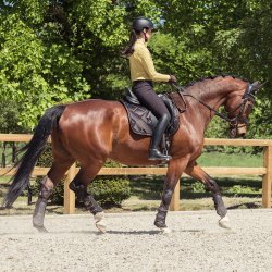 Eskadron Heritage 25/26 Underlag Bicross Cardamom