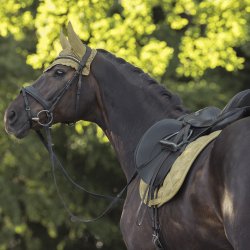 Eskadron Heritage 25/26 Underlag Boucle Emblem Cardamom