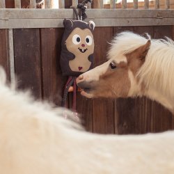 Eskadron Heritage 25/26 Legetj til hesten Hamster