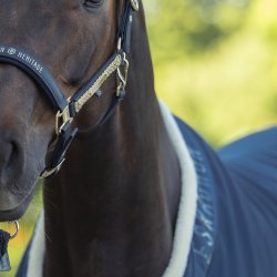 Eskadron Heritage 25/26 Aerial Jersey Black Truffle