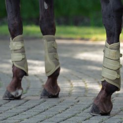 Eskadron Heritage 25/26 Mesh gamasher Cardamom