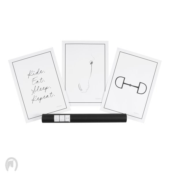 Eskadron Platinum 25 Wall Art / Billeder 3 stk.