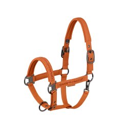 Eskadron Platinum 26 Faux Leather Jewel Grime Amber