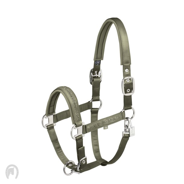 Eskadron Classic Sport 25 Grime Mattgloss Jewel Dusty Olive