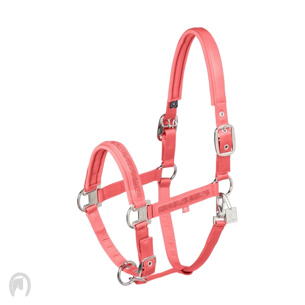 Eskadron Classic Sport 25 Grime Mattgloss Jewel Coral Blossom