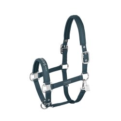 Eskadron Classic Sport 26 Sparkle Double Pin Grime Ocean