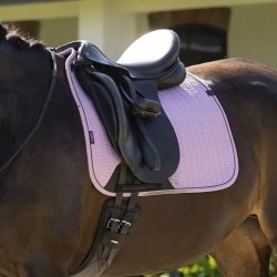 LeMieux SS26 Essence Underlag Fondant