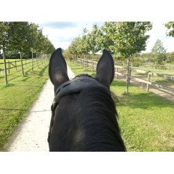 Acavallo Gel N�se/nakkeforing (Sort)