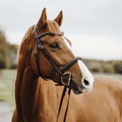 Herman Sprenger KK D-Ring Sensogan 2- delt Bid 12mm