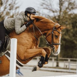 Herman Sprenger KK D-Ring Sensogan 2- delt Bid 12mm