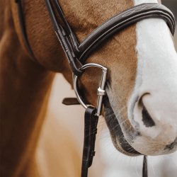 Herman Sprenger KK D-Ring Sensogan 2- delt Bid 12mm