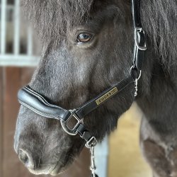 Eques L�dergrime Sort Isl�nder/Cob