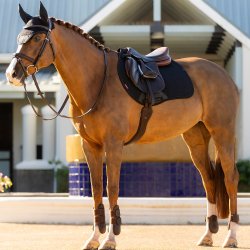 LeMieux Essence EuroJump Underlag Sort