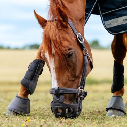 LeMieux SS26 Noma Mundkurv Sort